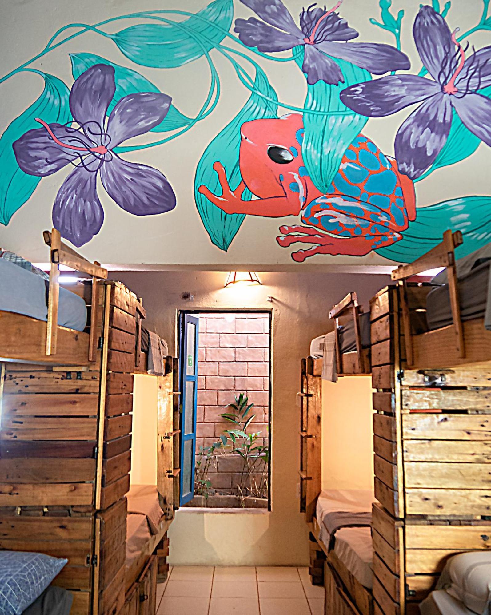 Chapada Backpackers Hostel Agencia Ленсойс Экстерьер фото